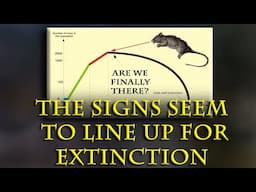 Are we living in the doomed Mouse Utopia Experiment, yet just don't know it?