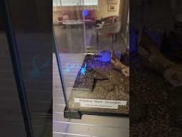 CHECKING OUT THE BUG ROOM AT WORK.