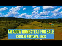 MEADOW HOMESTEAD FOR SALE, STREAM, 3.95 ACRES, 50,000 EUROS, CENTRAL PORTUGAL FARM
