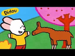 Didou dessine moi : Un Lama tout doux 🦙 | Compilation Enfants