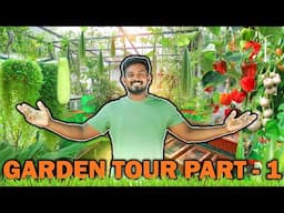 TERRACE GARDEN TOUR PART- 1 | APRIL MONTH UPDATE | கொடி உருளை | பூனைக்கன் பழம் | CAT EYE FRUIT