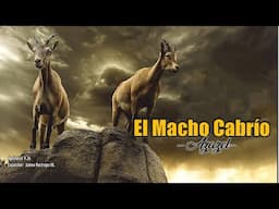 El sacrificio por Azazel ¿sacrificio al DEMONIO? | Jesús y los Cuatro Evangelios 📚 #263