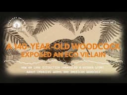 A 140-year-old Woodcock Exposed an Eco Terrorist - The Story of Invasive Worms in North America