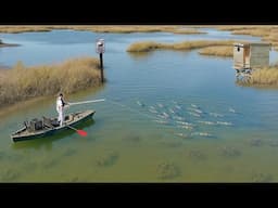 Skinny Water Fishing For Backwater BRUTES!