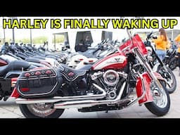 Harley FINALLY Did It! The Best Move they've Made in a Long Time