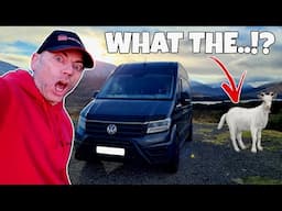 BIZZARE VW CAMPERVAN ENCOUNTER..!