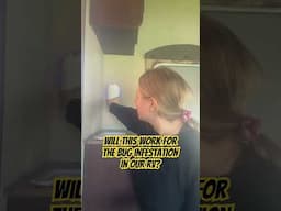 Our RV is INFESTED with BUGS! Will this help?! #rvlife