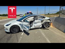 TESLA CAUGHT HIM LYING | TESLACAM STORIES 288