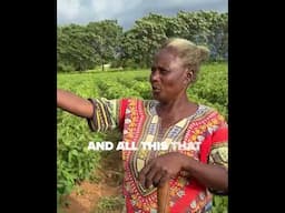 After I lost my husband, farming became my way forward. #refugees #farming #lifechanging