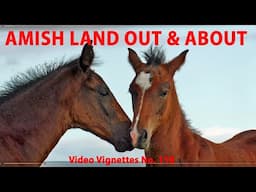OUT and ABOUT in Lancaster County's AMISH LAND...Video Vignettes Number 118
