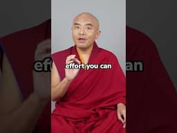 Can Meditation Save Our Planet?