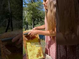 Save the bees and the bees will save us 🐝🌿💌 #savethebees #honeycomb #beekeeping #naturalliving