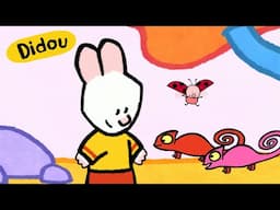 Didou dessine moi : Un Caméléon 🌈 | Compilation Enfants