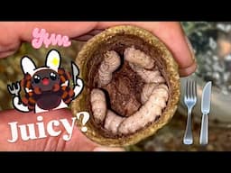 STICKY Bamboo Bitey MAGGOTS for my TARANTULAS !!!!!!!!1