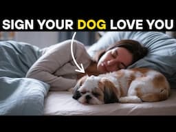 15 Secret Signs That Show Your Dog Has Bonded with You (Don’t Ignore These!)