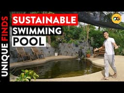 Natural Eco Pool: A Sustainable Swimming Experience