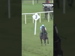Horse jumps wrong obstacle 😂