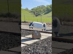 A DRONE Delivers Lunch