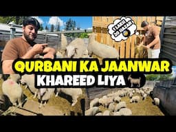 Qurbani Kay Janwar Ki BOOKING ker Di 🐐Canada Main Qurbani Ka Tarika 🐑