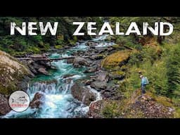 Fly Fishing for HUGE NEW ZEALAND Rainbow and Brown TROUT -  Backcountry New Zealand