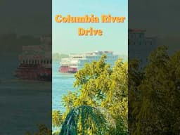 Columbia River Drive #travel #oregon #columbiarivergorge