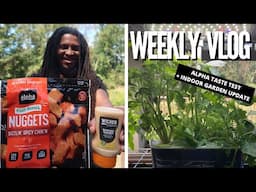 Trying NEW Alpha spicy VEGAN chicken nuggets + bacon mayo, meal delivery, garden update | vlog
