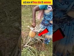 अनारस सबसे अनोखा फल 🍍😮 #shorts #ytshorts