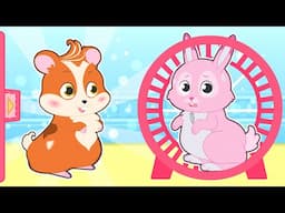 BABY PETS 🐹🐹 Can Ruby Run Faster Than a Hamster Wheel?
