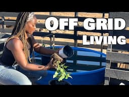 LIVING OFF GRID IN NORTHERN ARIZONA! VLOG