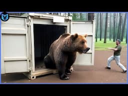 What Happens When Wild Animals Taste Freedom?