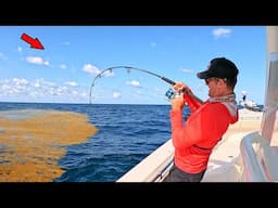 Fishing the Most Famous Spot in the Gulf! *Fish Every Cast*
