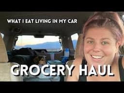 LIVING IN MY CAR grocery haul!