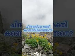 ചിന്തകളിലെ ശക്തി കണ്ടെത്തിയതെങ്ങനെ? #mstsmindpower #lawofattractionmalayalam #motivationmalayalam