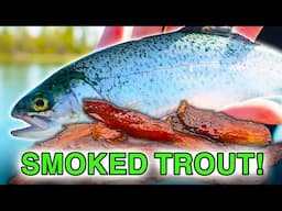 The TROUT Are Biting EVERYTHING! (Smoked Trout Catch N Cook)