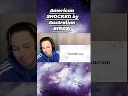 AMERICAN SHOCKED BY AUSTRALIAN BIRDS #shorts
