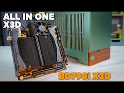 The X3d You've Never Heard Of! Minisforum BD790iX3d Build Featuring Fractal Terra, 9070xt & 7945HX3d