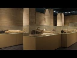 Mummies at Egypt Museum of Antiquities in Cairo - Nov 2024 Roots & Culture Journey of a Lifetime