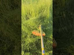 Husqvarna 324L 4 Stroke Trimmer