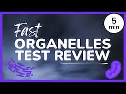 FAST Organelles Review for Exams // Quick Organelles Test Review