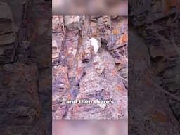 The King of Cliffs 👑🐐