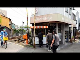 １日ホルモン４０キロ！大阪西成の下町人情溢れる鉄板ホルモン焼き屋に密着丨Japanese Street Food