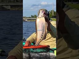 the WEIRDEST fish I've caught-- what is this?? 🤡 #fishing