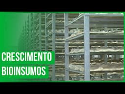 Crescimento no uso de Bioinsumos