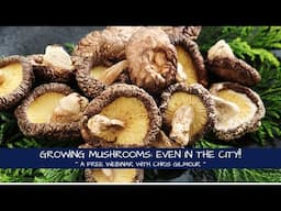 Learn to Grow Mushrooms ~ Even in the city!!