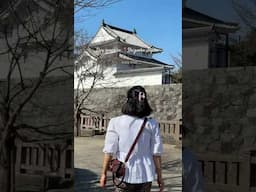 Day seven in Japan #traveljapan