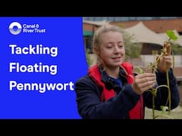 Tackling Floating Pennywort