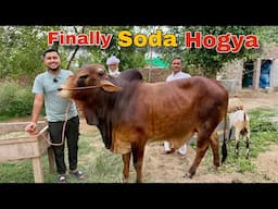 Qurbani Ka Janwar Le Liya 😱 Allhumdulillah 🥰