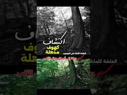 كهوف غامضة في جبال الألب ريف المانيا روح الطبيعة الساحره مع مغامرات حسين غازي