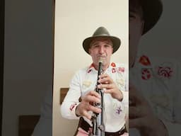 Am draguță-n șepte sate ,Ce mă scapă de păcate #music #muzicapopulara #taragot