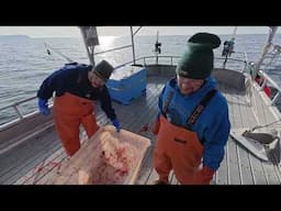 Reeling In Some Lunker Cod! | Jigging for Pacific Cod in Alaska